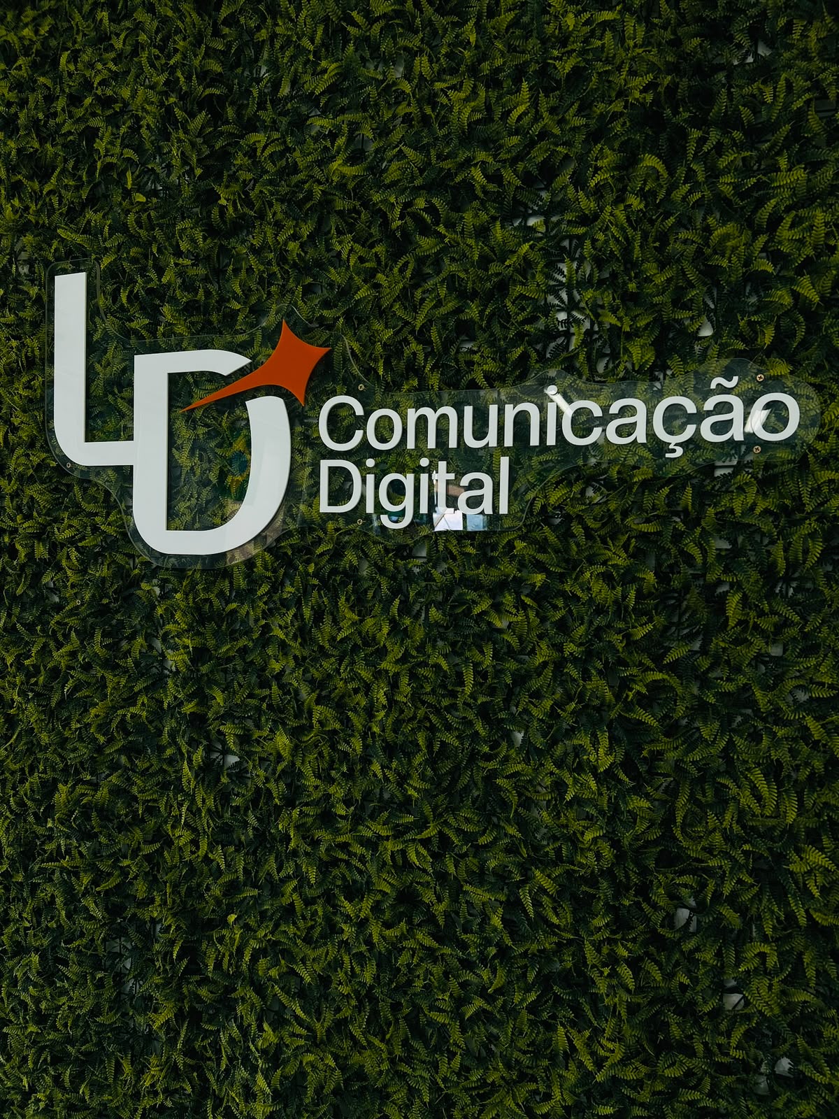 Leonardo e Débora, sócios da LD Comunicação Digital